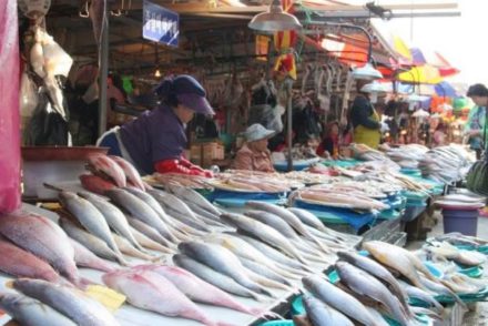 Séjour en Corée découverte du marché Jagalchi à Busan circuit routedelacoree.com