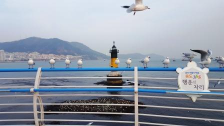 circuit-séjour-voyage-corée-busan-plage-songdo